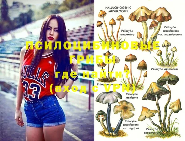герыч Богородицк