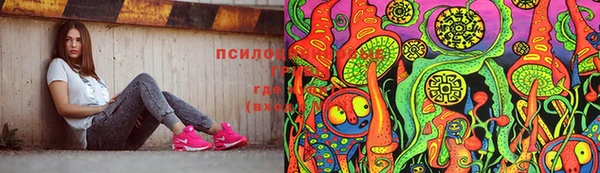 СК Беломорск