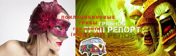СК Беломорск