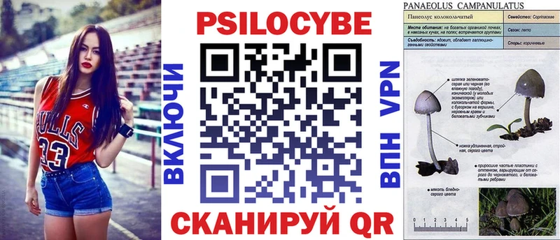 сколько стоит  Богородицк  Псилоцибиновые грибы Cubensis 